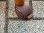 Immagine 4