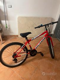 Bicicletta da ragazzi, tg. 24. Mountain bike