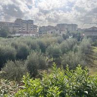 S1 - terreno edificabile