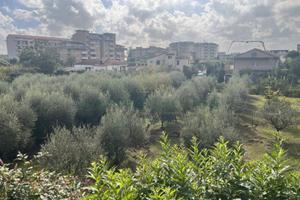 S1 - terreno edificabile