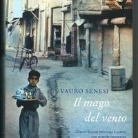 Titolo: Il mago del vento Autore: Vauro Senesi