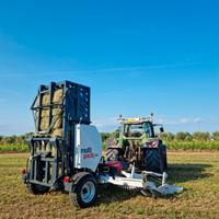 Ballette di erba medica