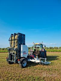 Ballette di erba medica