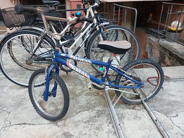 BMX shark colore blu.