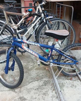 BMX shark colore blu.