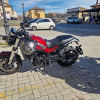 Benelli Leoncino 500