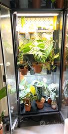 Vetrina IKEA MILSBO Micro serra x piante con LED