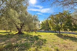 TER. RESIDENZIALE A RIANO