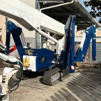 Cela Spyder 365 usato