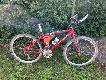 mountainbike kastle