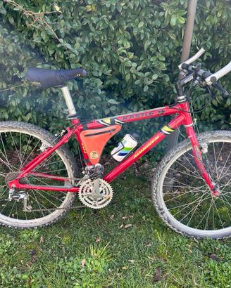 mountainbike kastle