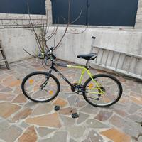 bicicletta