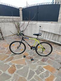 bicicletta
