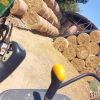 Foraggio, fieno avena-loietto