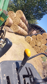 Foraggio, fieno avena-loietto