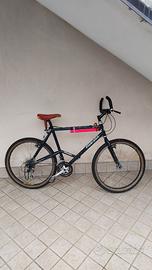 Mountain bike vintage Pinarello