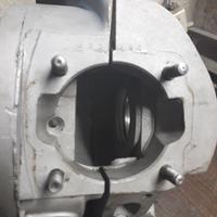 Carter  vespa smallframe