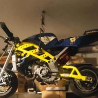 minimoto originale blata 50bzm