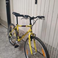 bici MTB r26 GARY Fisher piragna 