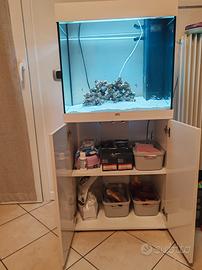 Acquario Juwel 120l 2024