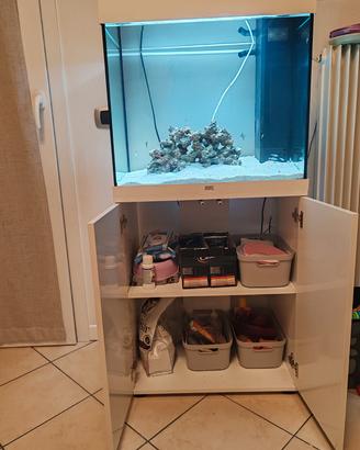 Acquario Juwel 120l 2024