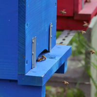 Nuclei api ligustiche in zona Parma