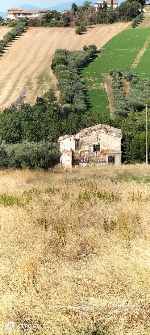 Rustico e terreno edificabile - Vista 3
