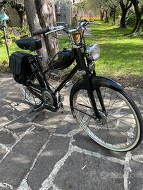 Mosquito 1949 original