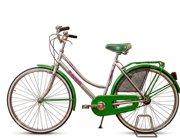 Bicicletta da Città Donna Campagnolo Classica