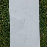 Rivestimento gres ceramica Porcelanosa