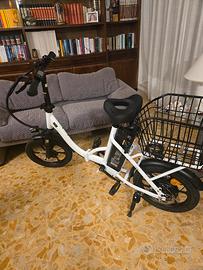 bici elettrics