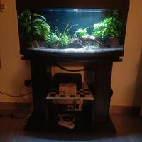 Acquario completo 80 litri con mobile
