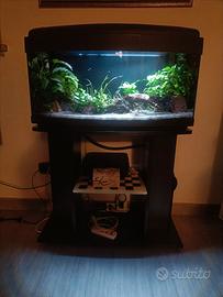 Acquario completo 80 litri con mobile