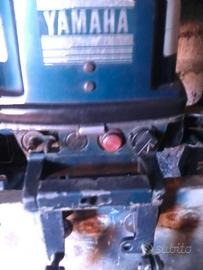 Motore fuoribordo marino