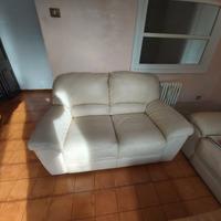 Due divani in pelle