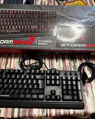 TASTIERA RETRO ILLUMINATA STOR CROW