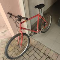 Bicicletta 
