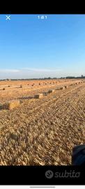 Paglia a ballette