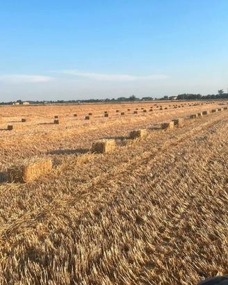Paglia a ballette