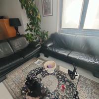  2 divani pelle €300,00