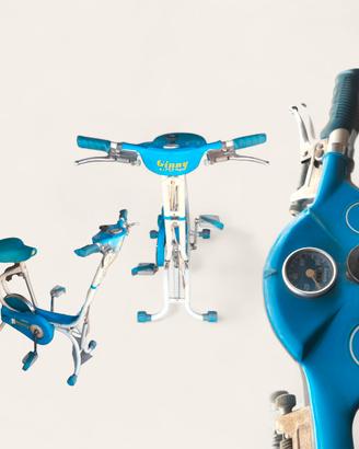 Cyclette Vintage ATALA Ginny Life-Gym - Pieghevole