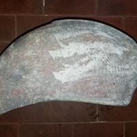 bauletto PITOTTI per Lambretta 125 C - 125/150 LD