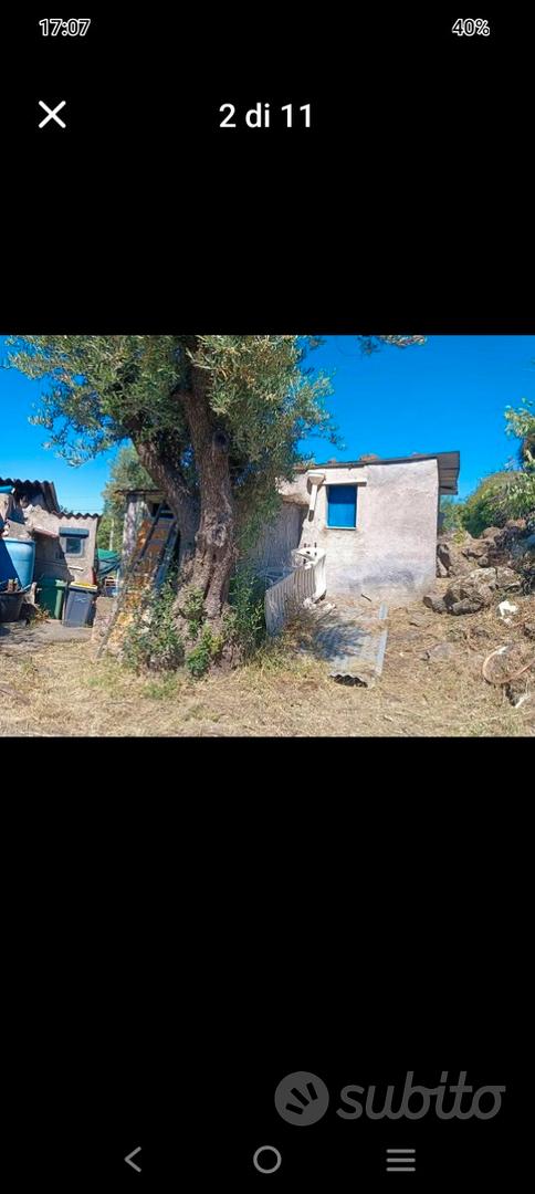 Vigneto, uliveto,rustico - View 5