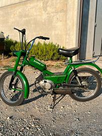Motoguzzi Dingo