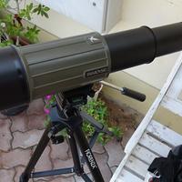 CANNOCCHIALE  SWAROVSKI HABICHT CT 85