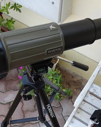 CANNOCCHIALE  SWAROVSKI HABICHT CT 85