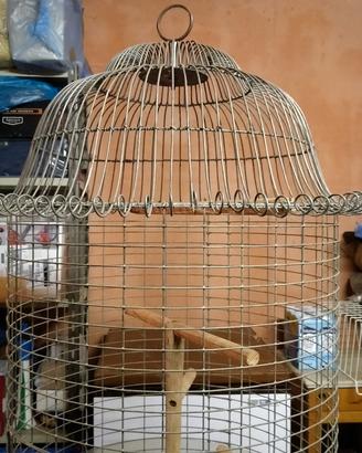 Gabbia per pappagalli.