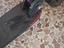 Immagine 3