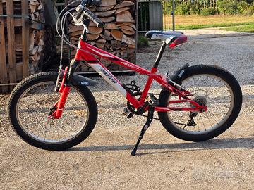 Bicicletta bimbo 5-9 anni