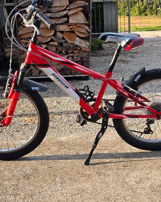 Bicicletta bimbo 5-9 anni